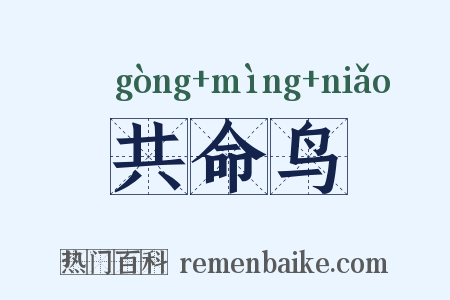 共命鸟是什么意思的图片